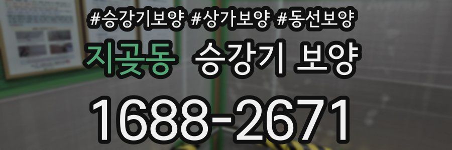 지곶동 승강기 보양