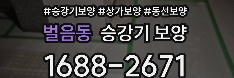 벌음동 승강기 보양