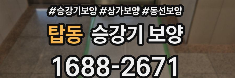 탑동 승강기 보양