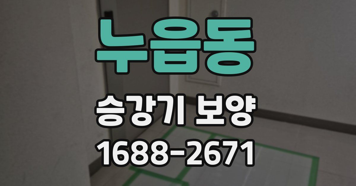 누읍동 승강기 보양