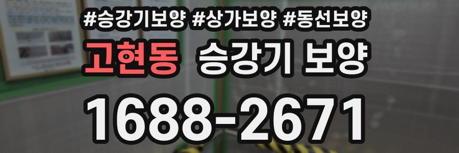 고현동 승강기 보양