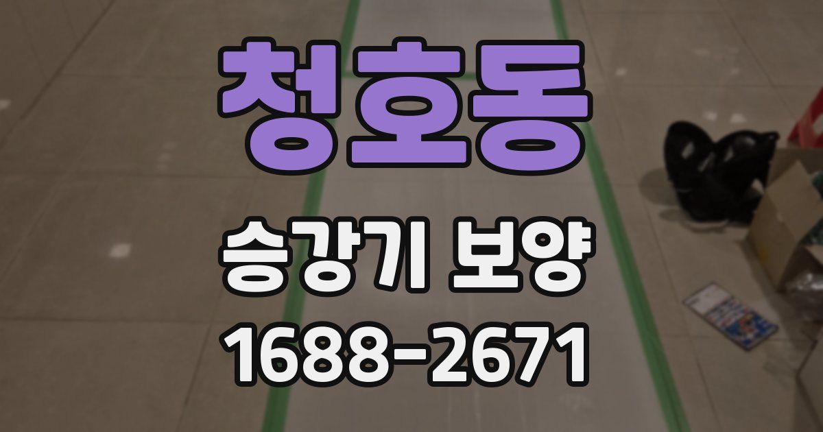 청호동 승강기 보양
