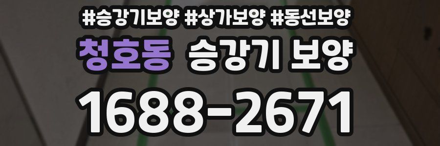 청호동 승강기 보양