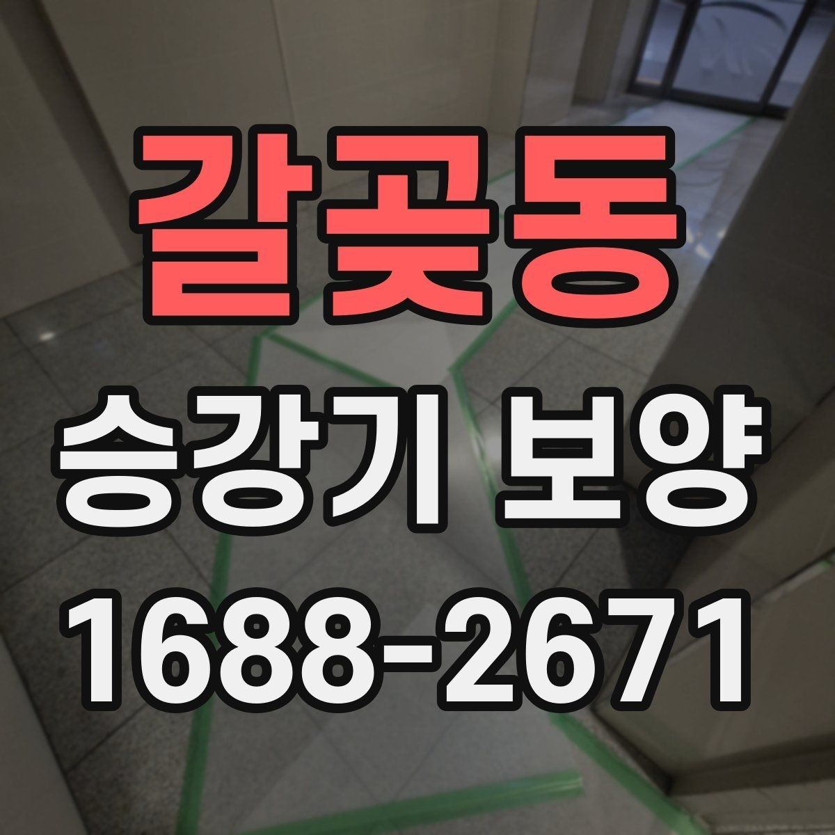 갈곶동 승강기 보양 과정에서 발생하는 문제와 대응