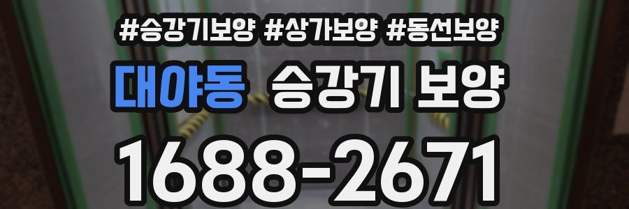대야동 승강기 보양