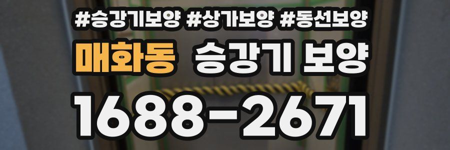 매화동 승강기 보양