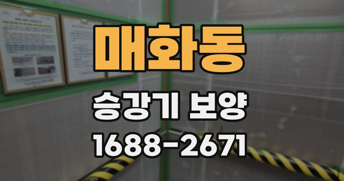매화동 승강기 보양
