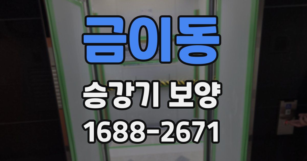 금이동 승강기 보양