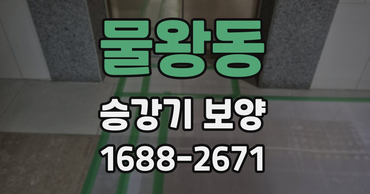 물왕동 승강기 보양