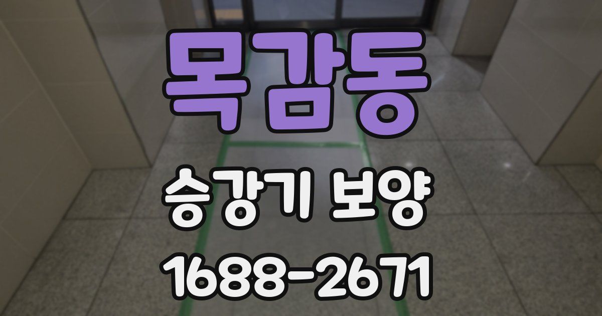 목감동 승강기 보양