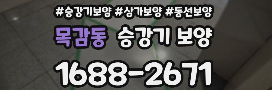 목감동 승강기 보양