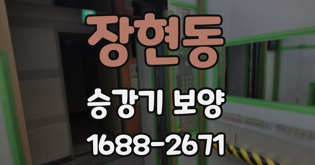 장현동 승강기 보양