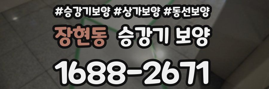 장현동 승강기 보양