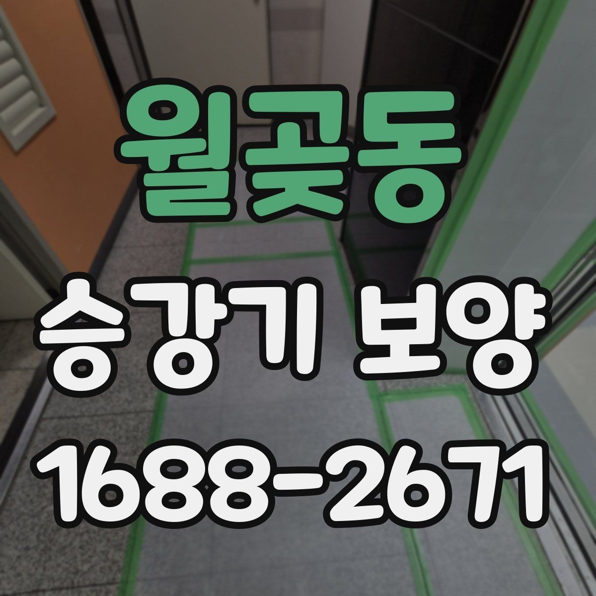 월곶동 승강기 보양 자재 재사용이 가능한지 살펴보기