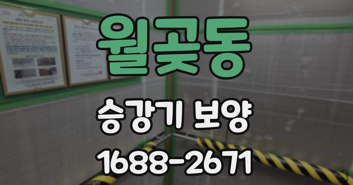 월곶동 승강기 보양