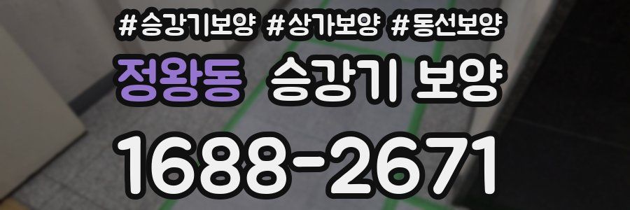 정왕동 승강기 보양