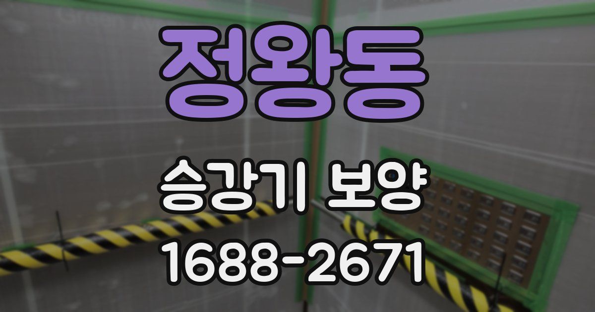 정왕동 승강기 보양