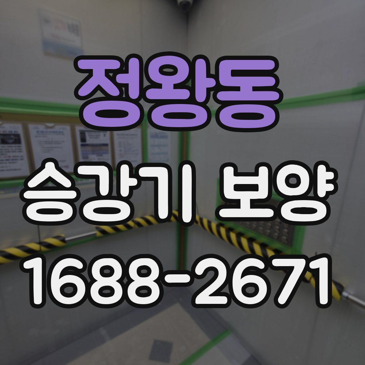정왕동 승강기 보양