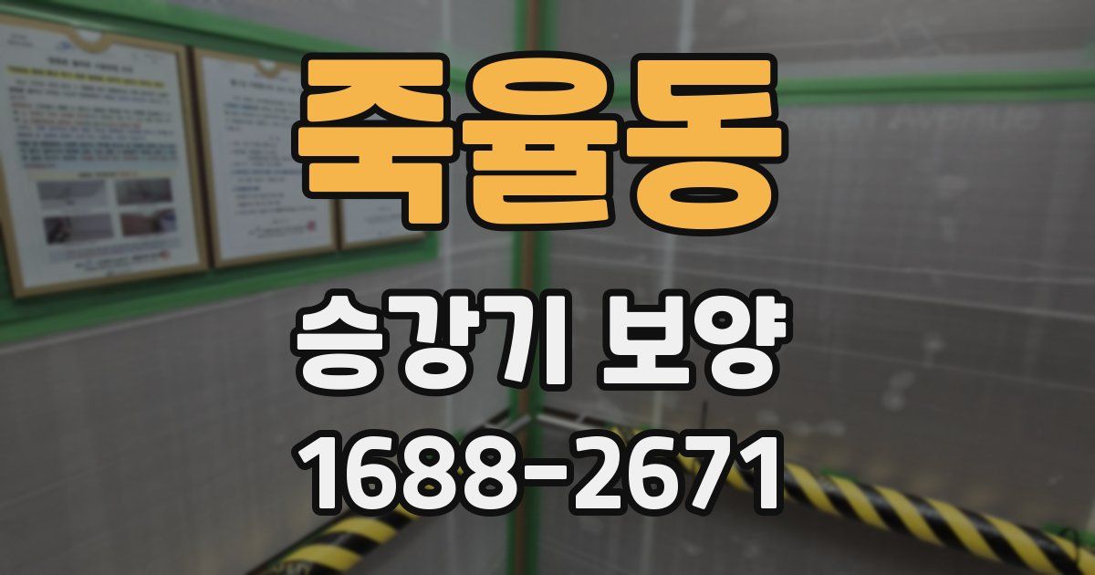죽율동 승강기 보양