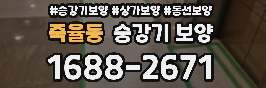 죽율동 승강기 보양