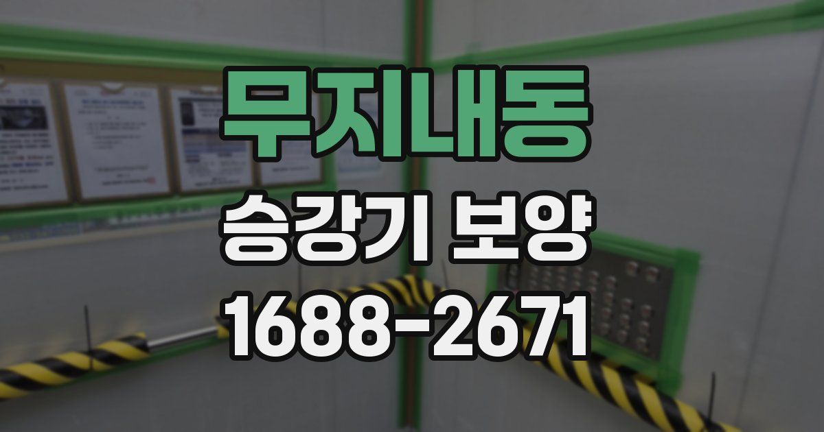 무지내동 승강기 보양