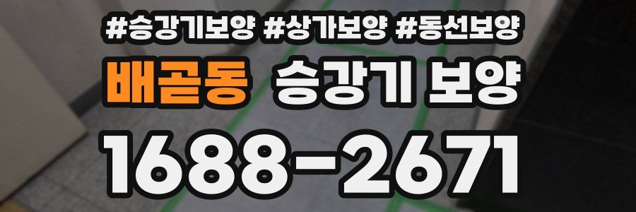 배곧동 승강기 보양
