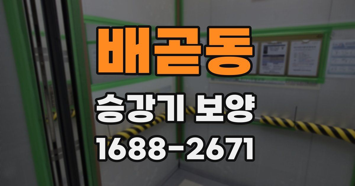 배곧동 승강기 보양