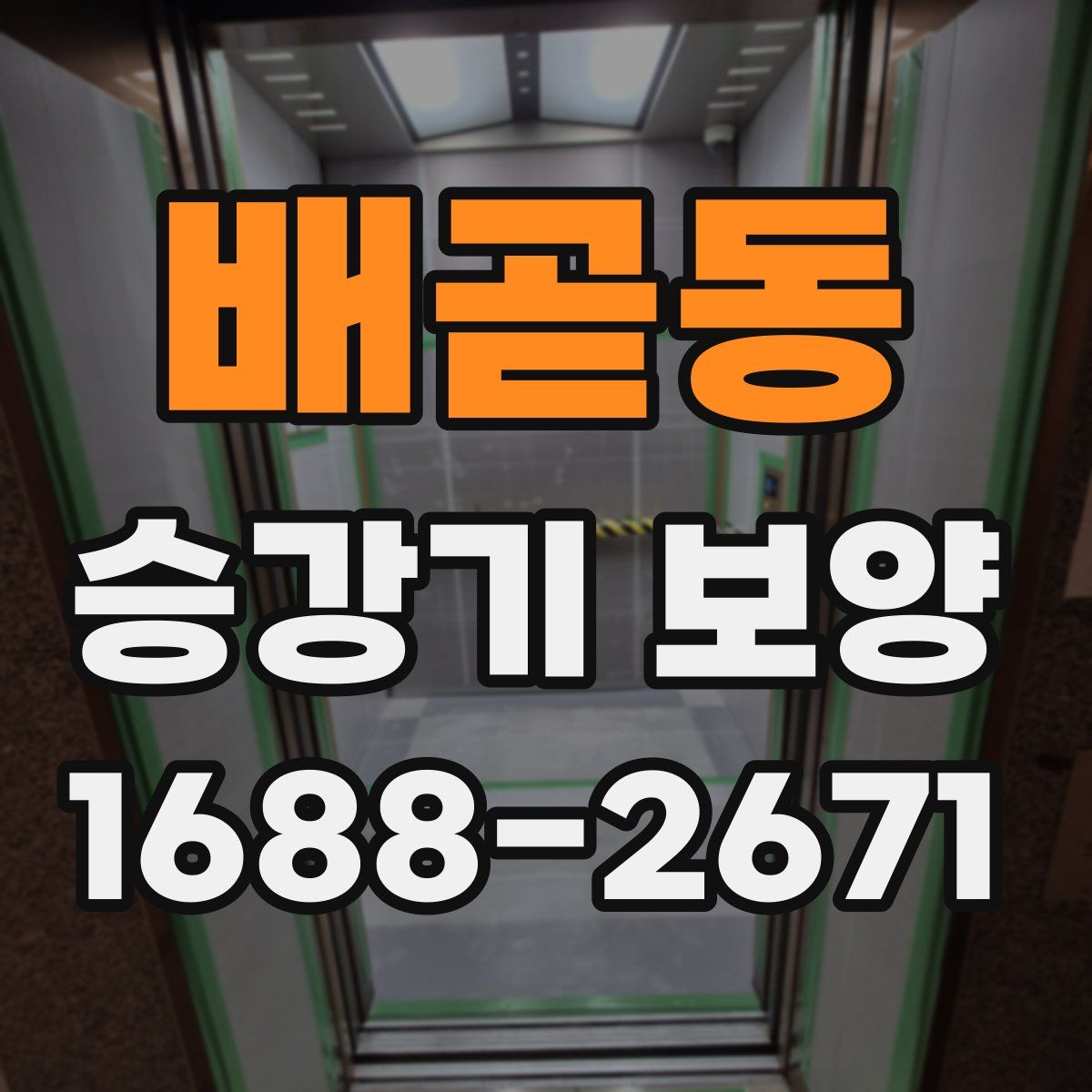 배곧동 승강기 보양