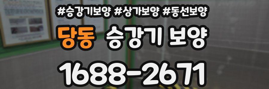 당동 승강기 보양