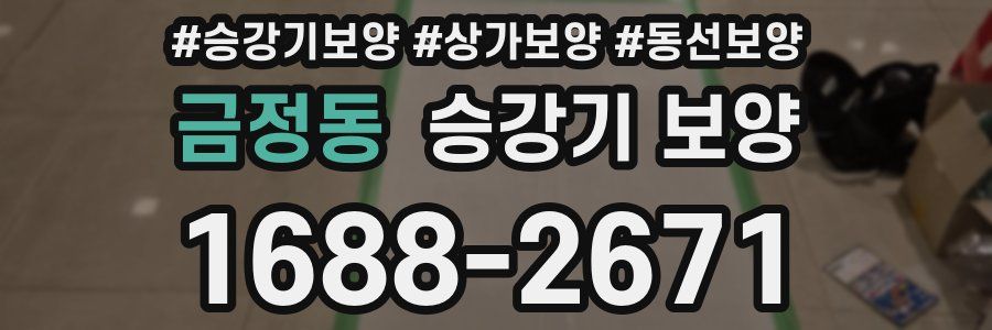 금정동 승강기 보양