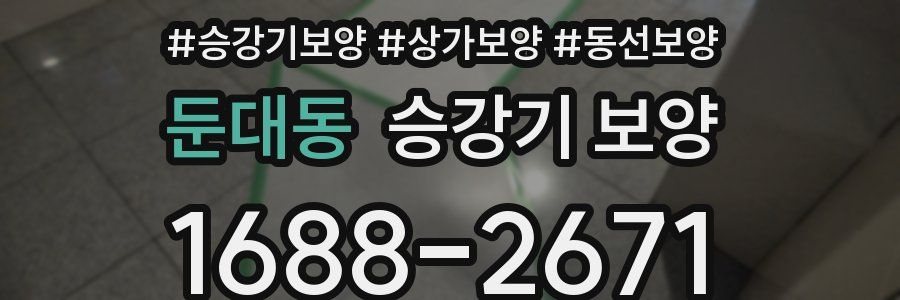 둔대동 승강기 보양