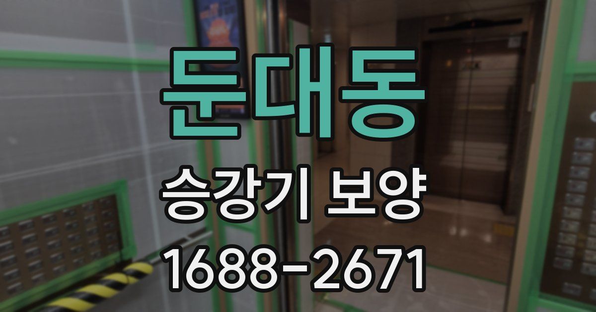 둔대동 승강기 보양