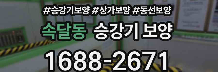 속달동 승강기 보양