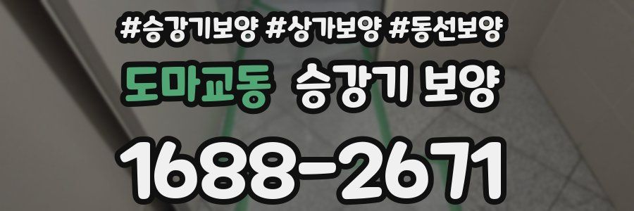 도마교동 승강기 보양