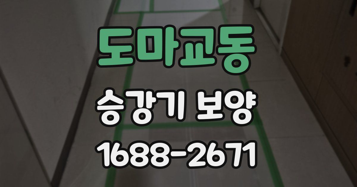 도마교동 승강기 보양