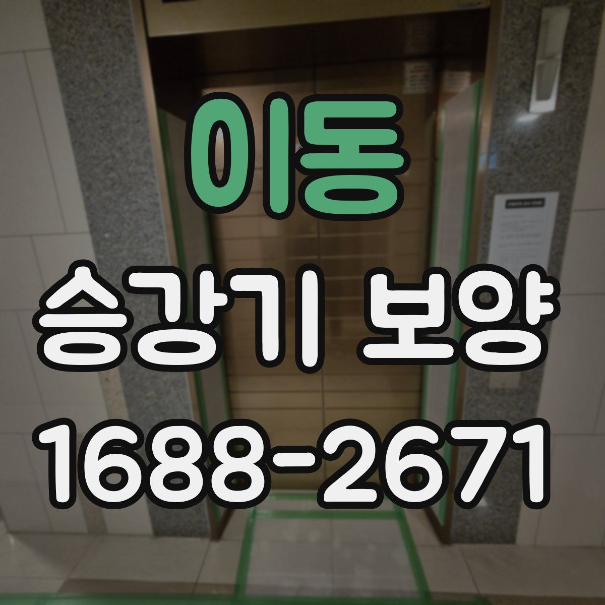 이동 승강기 보양