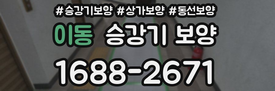 이동 승강기 보양