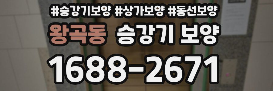 왕곡동 승강기 보양