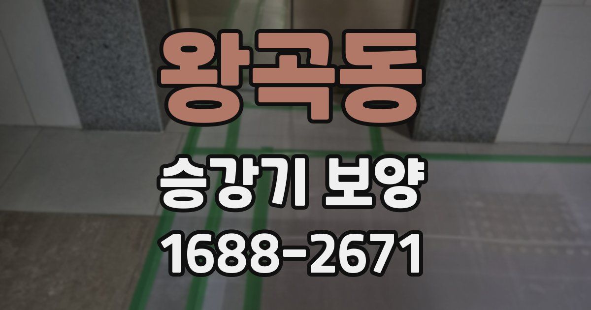 왕곡동 승강기 보양