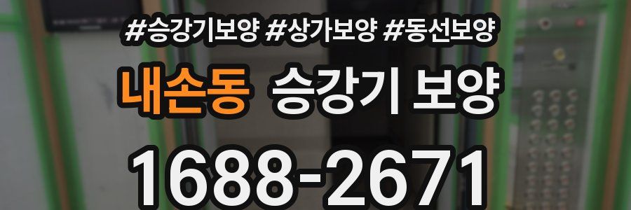 내손동 승강기 보양
