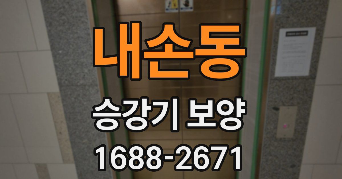 내손동 승강기 보양