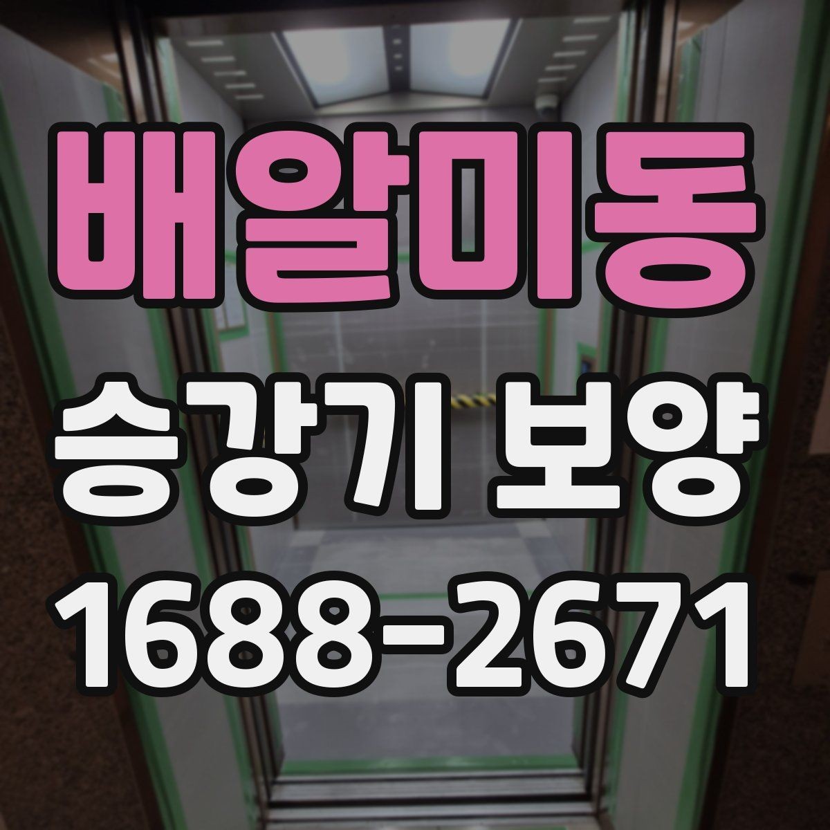 배알미동 승강기 보양 작업의 마감 품질 높이는 요령