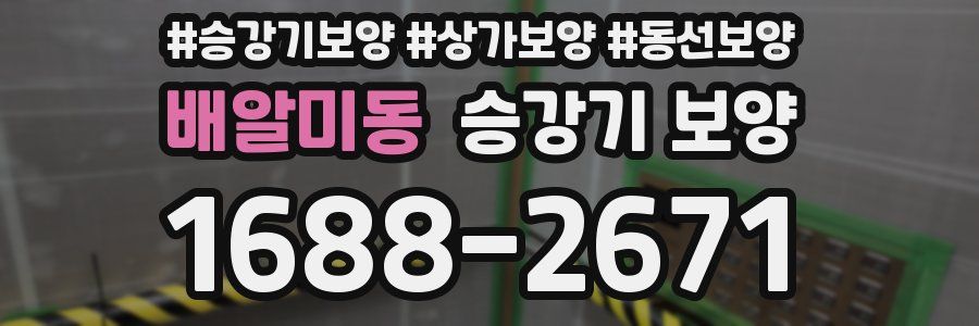 배알미동 승강기 보양