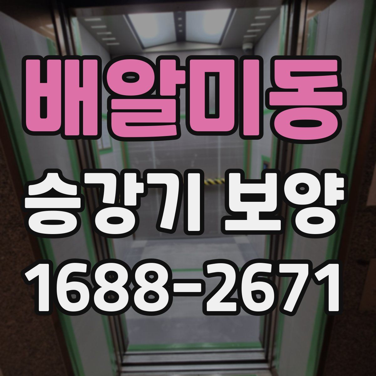 배알미동 승강기 보양