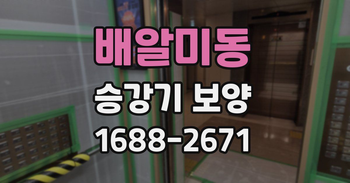 배알미동 승강기 보양