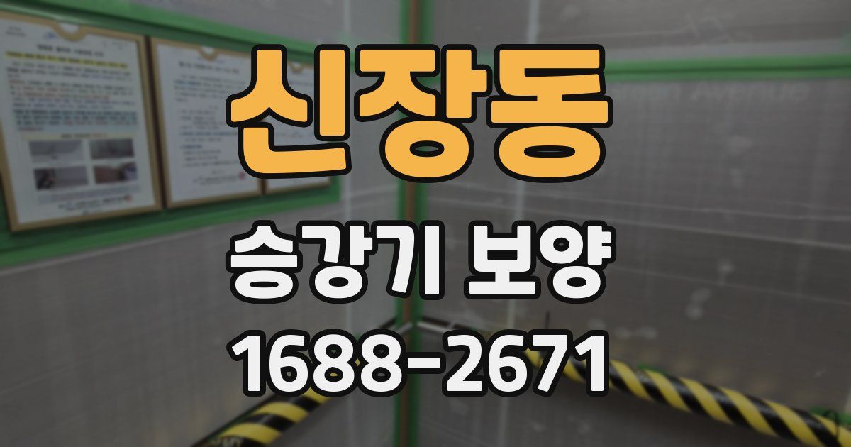 신장동 승강기 보양