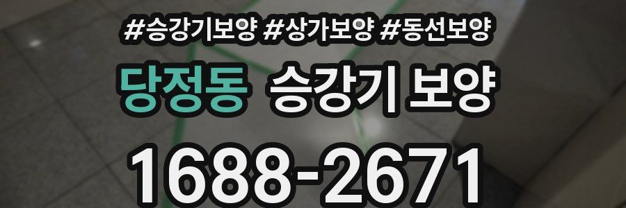 당정동 승강기 보양