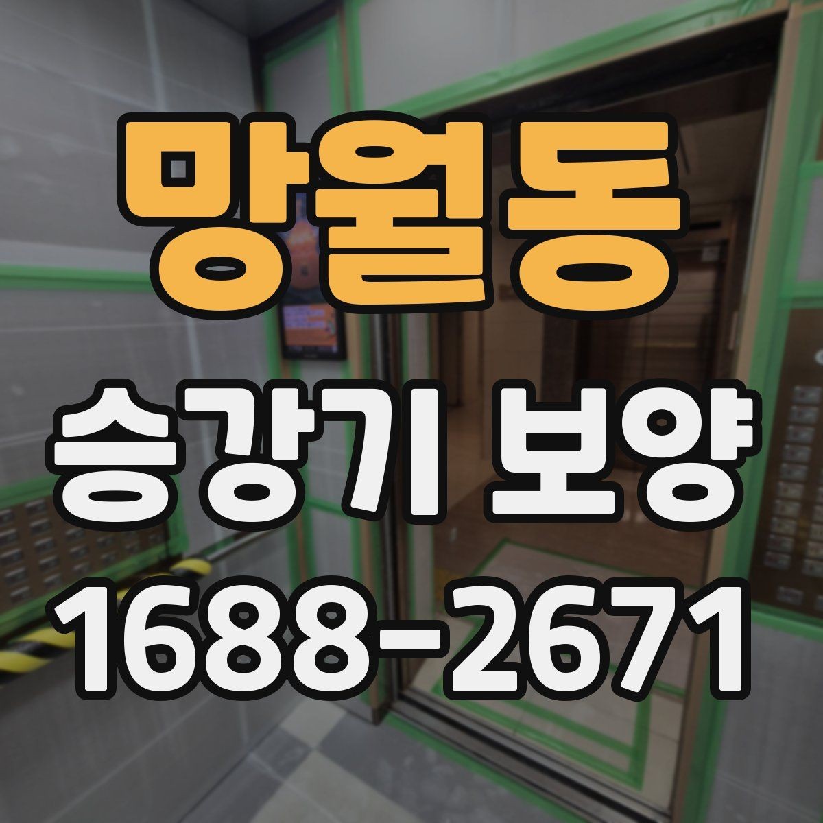 망월동 승강기 보양 공사 전 협의가 필요한 사항
