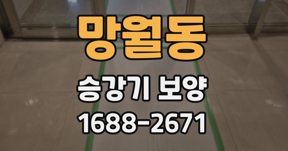 망월동 승강기 보양