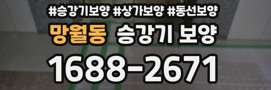 망월동 승강기 보양